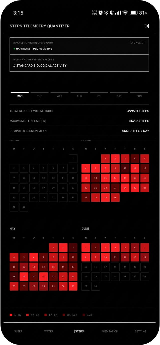 VIDADOR yearly steps screen